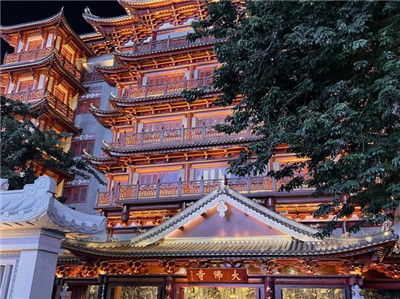 价格高昂的原因详解